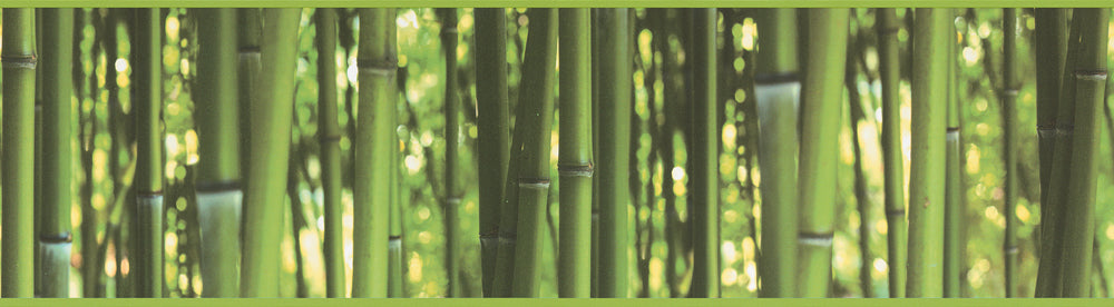 Bamboo Border