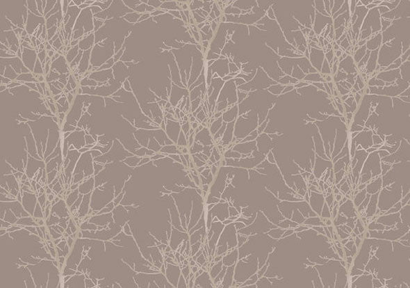 Auora Trees Wallpaper