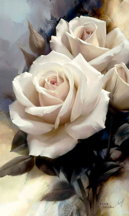 Classic White Rose
