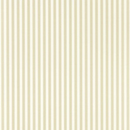 PINETUM STRIPE