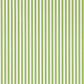 PINETUM STRIPE