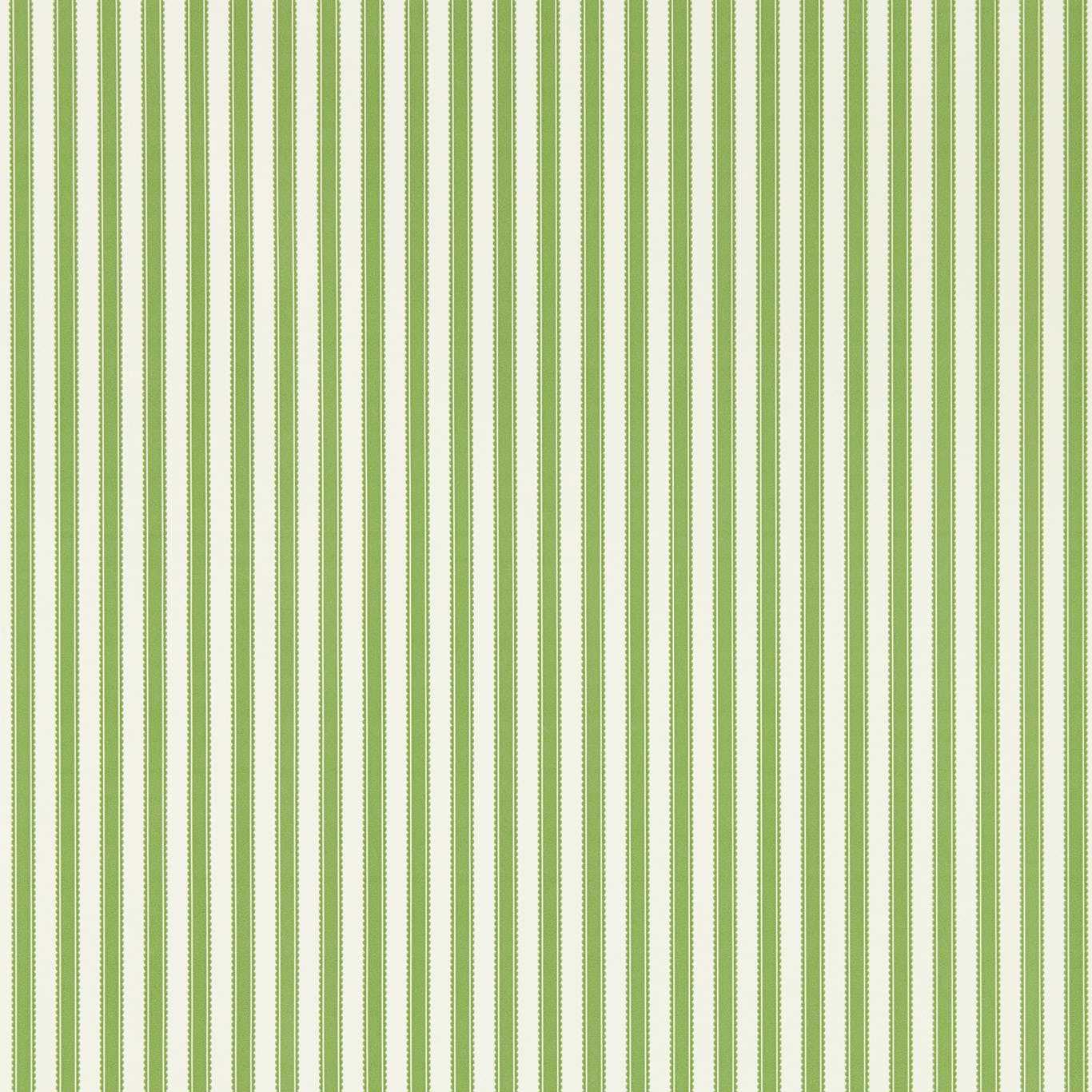 PINETUM STRIPE