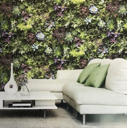 Succulents Evergreen Mural