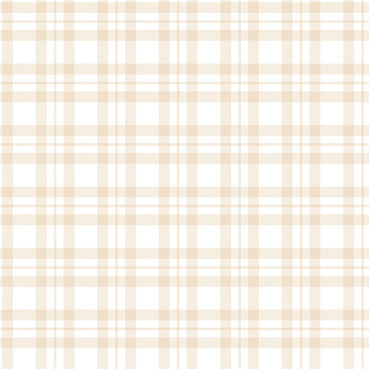 Gingham Check