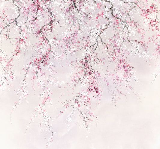 Kirschblüten Wall Mural