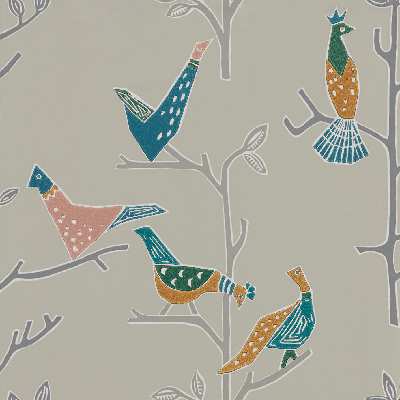 Passoro Birds