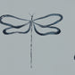 Japandi Dragonfly