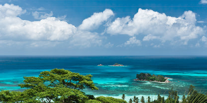 The Sea View