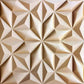 Star 3D Leather Panel