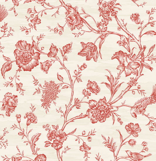 Toile Trail