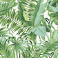 Baja Palm Jungle Tropical Leaf