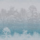 Misty Forest Trees