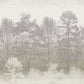 Misty Forest Trees