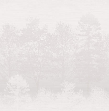 Misty Forest Trees