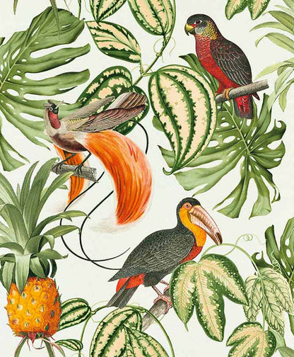 Paradisio Tropical Birds