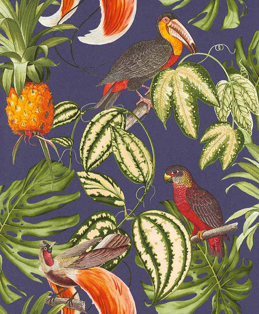Paradisio Tropical Birds