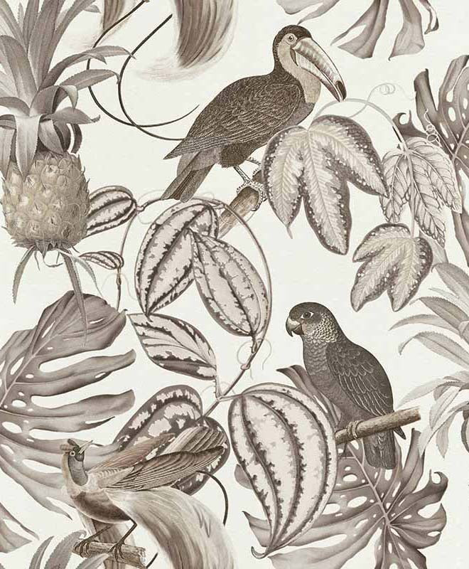 Paradisio Tropical Birds Wallpaper Wallpaper brokers Melbourne ...