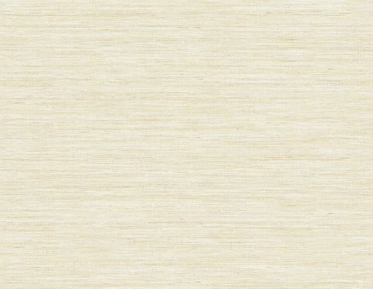 Burlap Texture